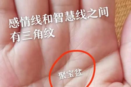 如何看掌纹线算命女性 智慧线长度适中进取心强