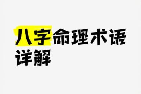 八字术语