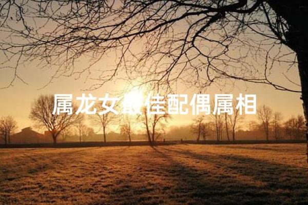 属龙女跟什么属相最配对