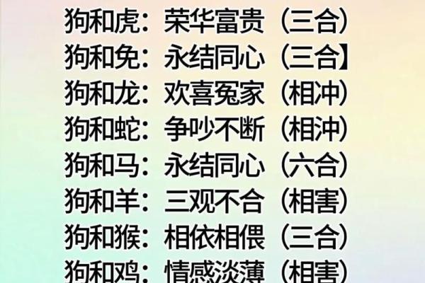 生肖配对表 年份生肖配对表