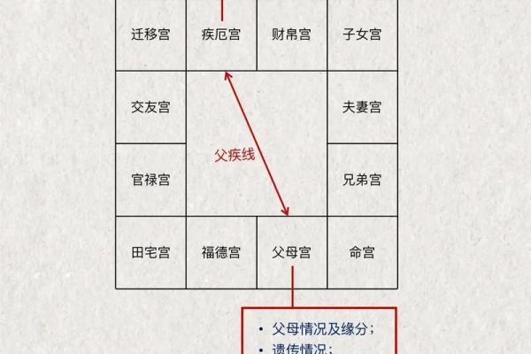 紫薇光线斗数
