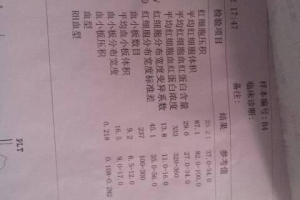 血型看姻缘指数