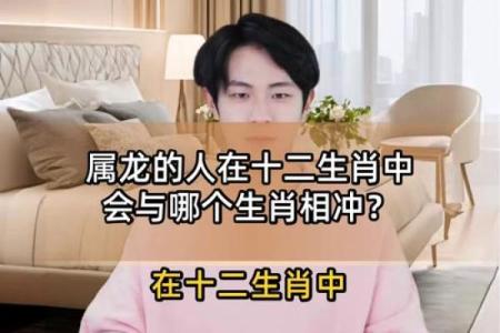 属龙女跟什么属相最配对