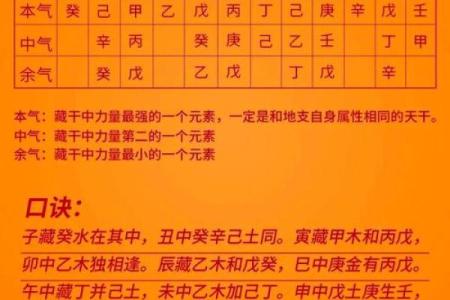 四柱八字预测算命时地支藏干对命局怎么作用