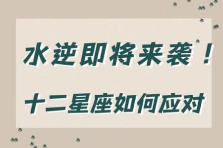 2024年哪个星座运势最好- 2024年有水逆的星座