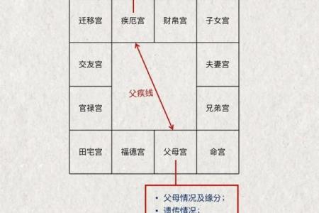 紫薇光线斗数