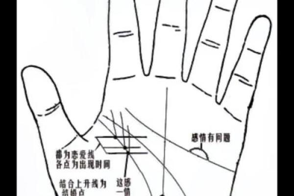 图解：手相金星环算命