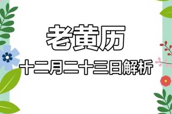 最准老黄历看日子 2024年10月属兔人适合结婚的日子一览表