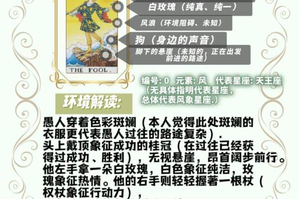 塔罗测试：你能让花花公子回头，专一痴情嘛？