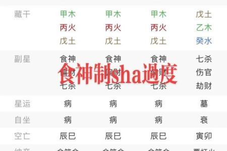 食神制杀八字