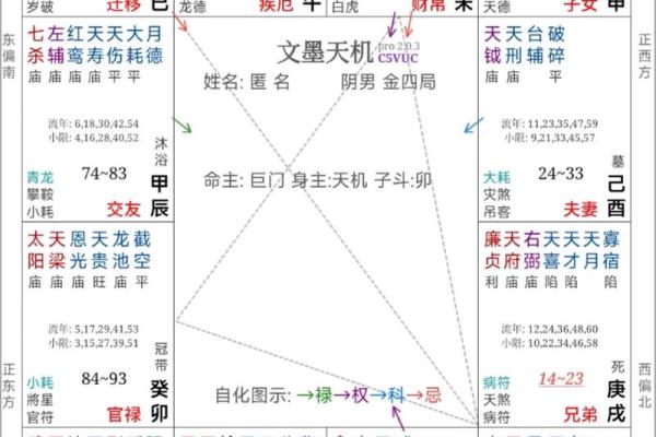 紫薇命理斗数app