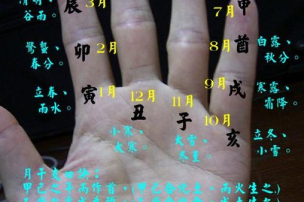 掐指一算，手指算命感情