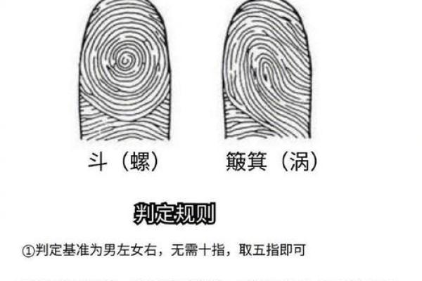 4个斗的男人是什么命 手指斗的数量代表什么命