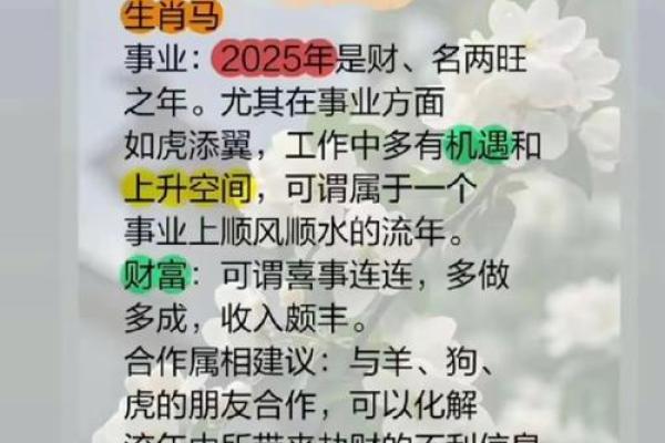 2024年54岁属马的人事业运如何？属马2024年开运方位？