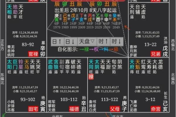 紫薇斗数文案视频的简单介绍