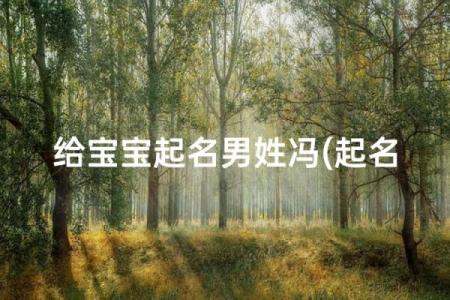 冯姓男孩名字大全-冯姓男孩起名字大全-冯姓名字大全姓名