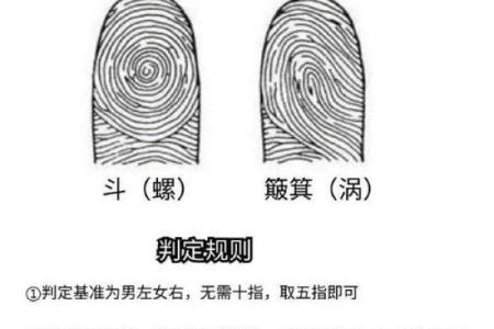 4个斗的男人是什么命 手指斗的数量代表什么命