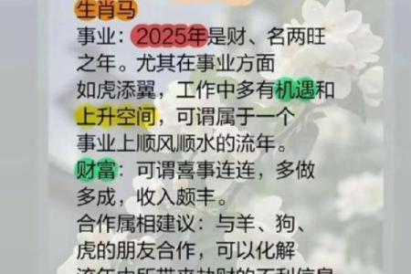 2024年54岁属马的人事业运如何？属马2024年开运方位？