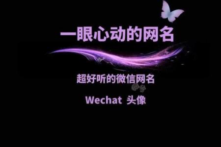 情侣姓名配对的微信名 姓名情侣id？