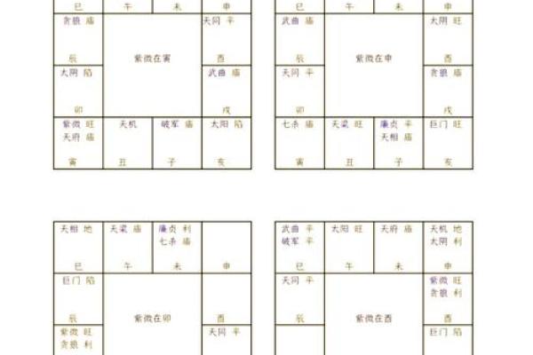 紫微斗数之各星曜所主行业：测本人能否选举上？