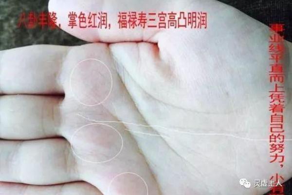 人中龙凤的八字格局