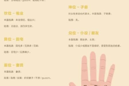 看手相算命图解：指纹