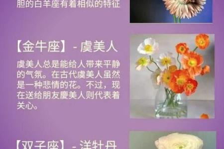 处女座幸运的,十二星座的永久幸运色