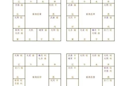 紫微斗数之各星曜所主行业：测本人能否选举上？