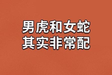 虎女属相配对，哪些生肖最佳？