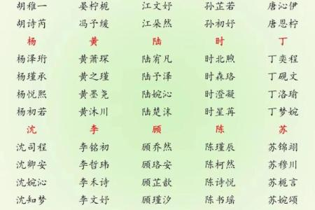 2019年3月23号未时出生的男孩如何起名姓名