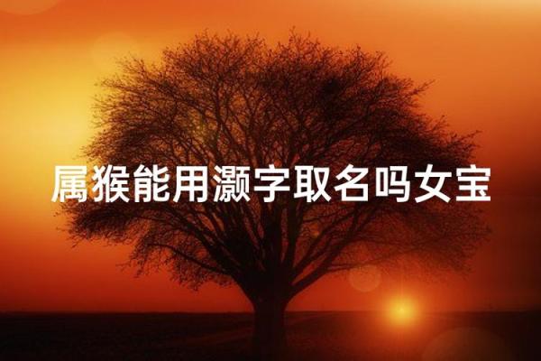 中午十二点出生的属猴男孩如何取名，适合什么字姓名