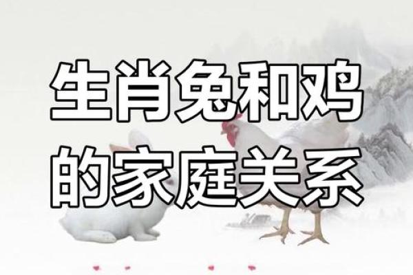 85年属什么的生肖性格 85年属什么的生肖配对兔