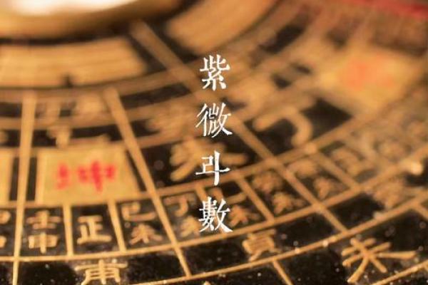紫薇斗数科学还是玄学