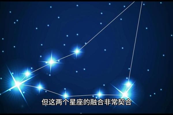 狮子座双鱼配对合适吗