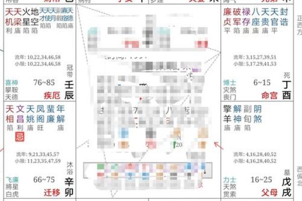 紫薇斗数看老运