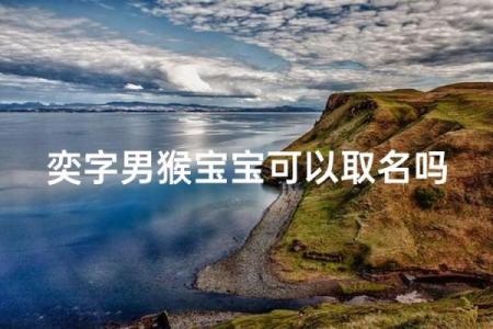中午十二点出生的属猴男孩如何取名，适合什么字姓名