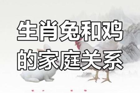 85年属什么的生肖性格 85年属什么的生肖配对兔