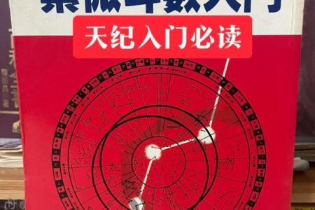高级紫薇斗数书