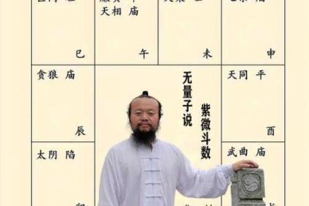 解紫薇斗数
