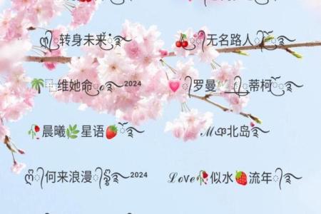 给qq群取名
