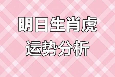 属虎方位吉凶图表详解大全