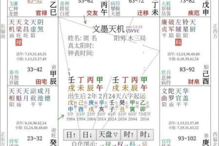 紫薇斗数照