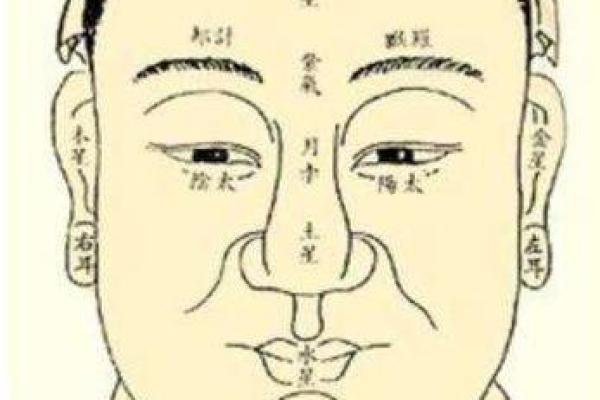 右眼睛下面长白毛算命