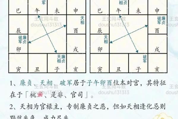 紫薇斗数时空技法