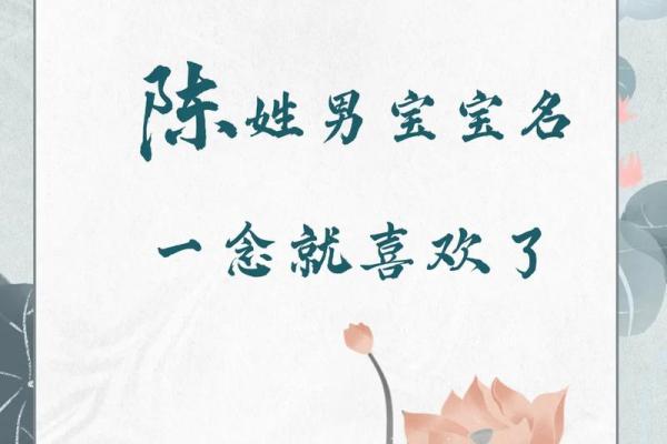 陈姓男孩名字大全-陈姓男孩起名字大全-陈姓名字大全姓名
