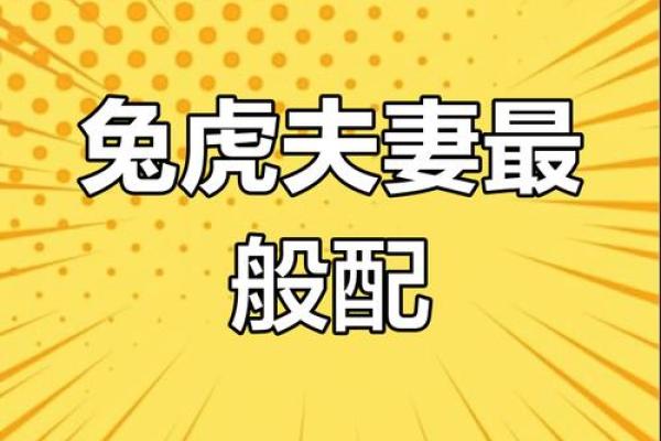 生肖兔的最佳婚配 谁跟属兔人更配对