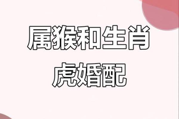 1998女虎婚姻配对 与属马相处融洽生活幸福