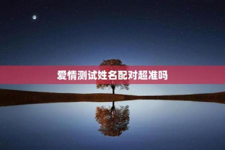 姓名配对费用查询系统 姓名配对费用查询系统官网？
