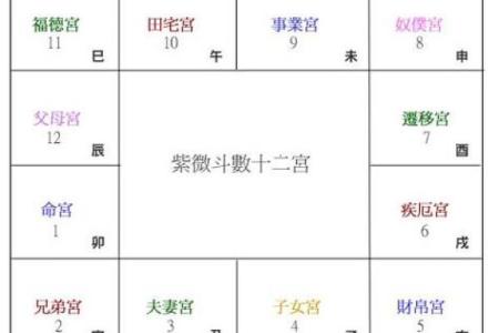 紫薇斗数举门宫