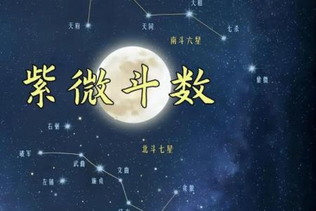 紫微斗数之命宫四化飞星
